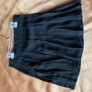 Banana Republic Sheer Pleated Skirt
